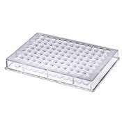 96-Well Plate